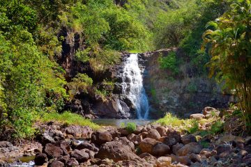 The waterfall at Waimea Valley