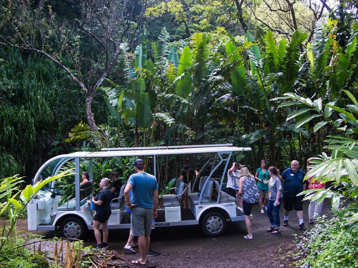 Golf Cart type shuttle in Waimea Valley