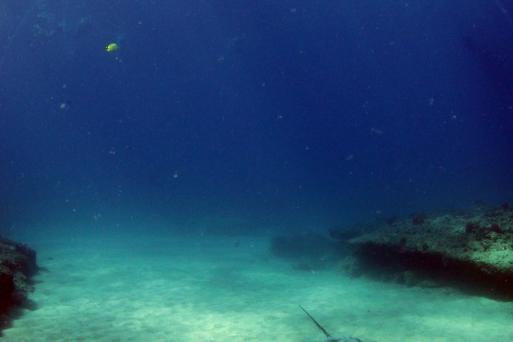 underwater view of a large body of water