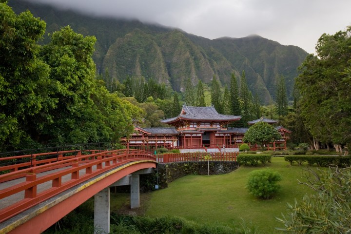 a large long train on a lush green hillside