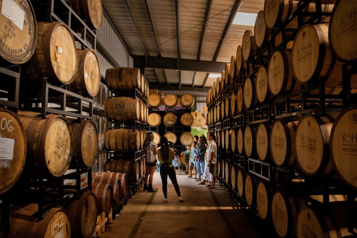 Group tour in a warehouse with stacked wooden barrels.