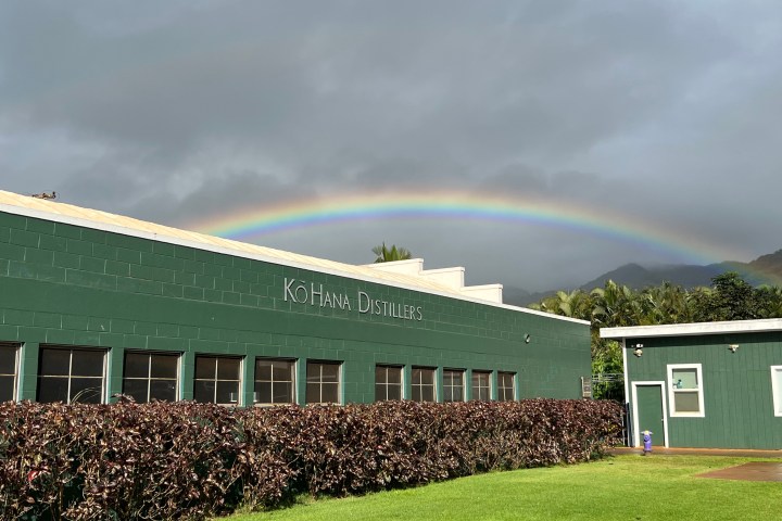 Green distillery building with rainbow and cloudy sky.
